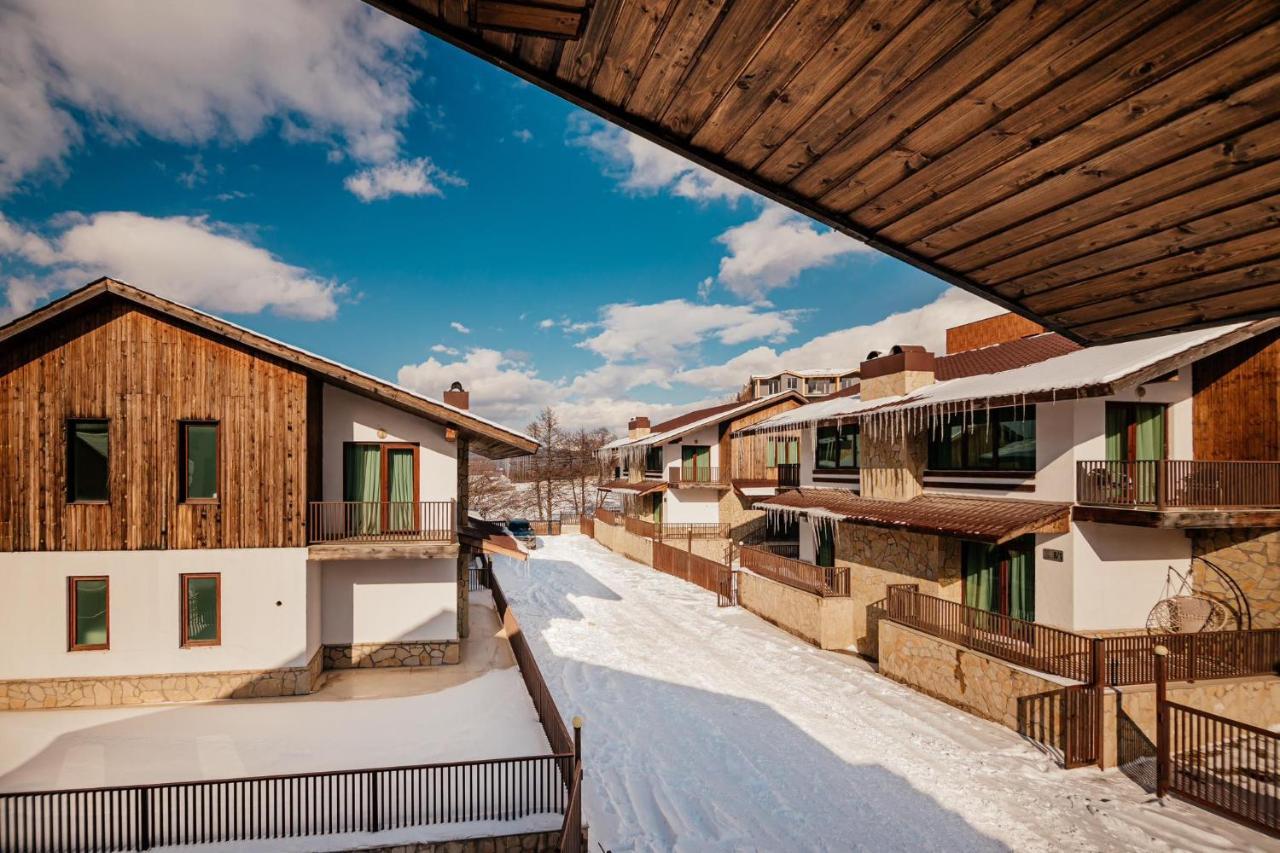 Villa In Crystal Bakuriani Exteriér fotografie